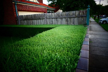 Beautiful nature in the garden