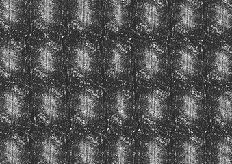 Snake skin grunge vector texture. Black and white background. EPS8 vector.