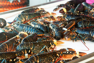 Lobster on the counter of the fish market in France.