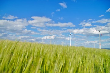 view of wind turbine through the green grass. The image of a wind mill through a grain field. Rhineland Palatinate, Germany. alternative energy, new natural scenery, Header for website.