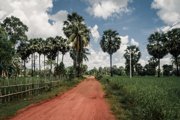 Obraz premium Road through Cambodian jungle