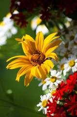 a bouquet of bright spring flowers of various types