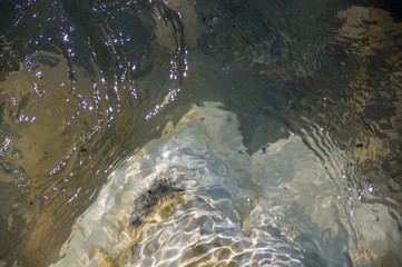 pebble stones on the sea beach, the rolling waves of the sea with foam