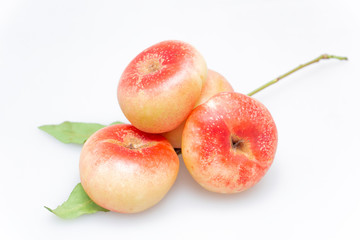 Peaches on a white background..