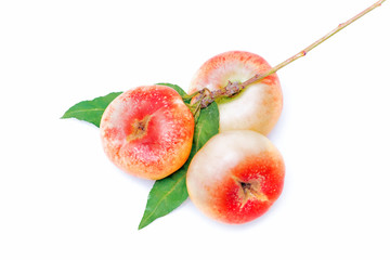 Peaches on a white background..