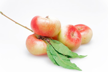 Peaches on a white background..