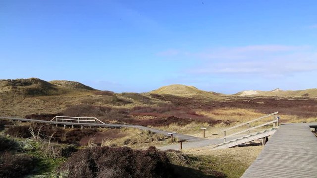 Amrum dunes landscape at the North Sea, Germany