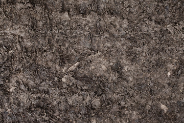 Mud and foliage texture. Downtrodden clarts and leaves, forest terrain in cold weather. Slick trampled footpath in rainy weather photo. Slippery down-trodden mud and dirty leaves on forest footway.