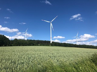wind turbines in green field