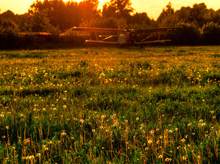 Vintage airplane on summer field background