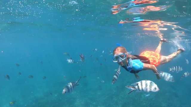 SLOW MOTION: Third person view of woman snorkeling underwater with fishes at Felicite Island. Split view exploring sea life of Indian Ocean, under and above water. Coral reef landscape of Seychelles.