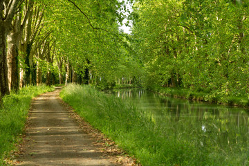 path through the woods along the Canal de Garonne