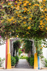 Mogan street in sunny summer