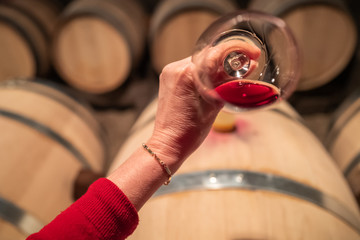 vin rouge dégusté en cave