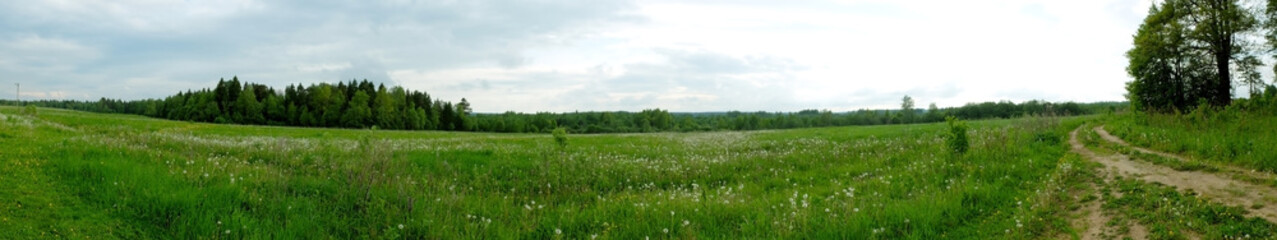 Panorama of the summer meadow of a countryside road and forest edge