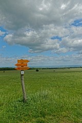 Wegweiser am Rand des Hainich Nationalparks in Thüringen