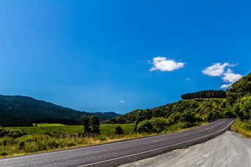 A view from the road side on the North island, New Zealand