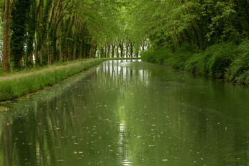 view of the canal de garonne in Bordeaux, France