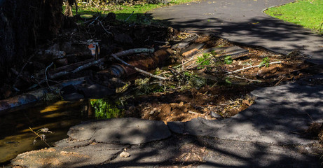 Scene after a vilolent storm, Westerm Springs, Auckland, New Zealand