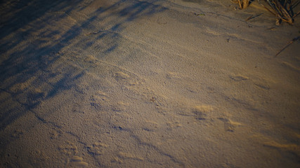 footprints in the sand