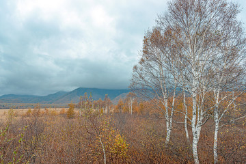 夕暮れの戦場ヶ原 秋景色