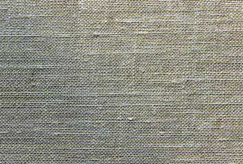 Cover of an old book close-up. Background tissue structure. Empty.