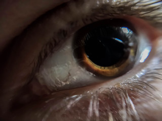Looking. Human eye in macro.