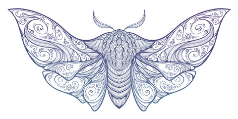 Abstract mystical Moth in psychedelic design. Vector illustration.