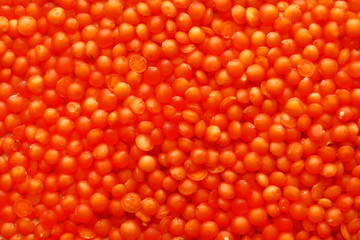 Orange lentils background, closeup