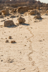 Mud Trail in Dry Earth