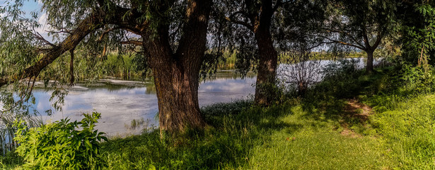 Marshland nature of Louisiana. US Natural Parks	