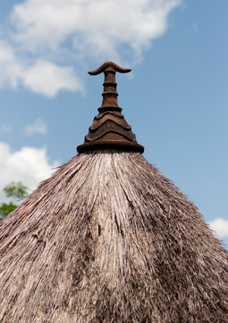 Pottery decoration on a hut roof, Dima anuak village, Gambella province, Ethiopia