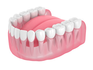 3d render of lower jaw with teeth