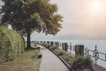 A walk in the park, around flowers, green trees and lake Thun
