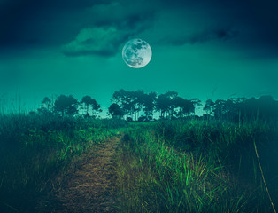 Fototapeta na wymiar Landscape of night sky with clouds.Beautiful bright full moon
