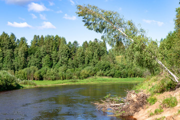 Obraz premium summer river shore landscape. Sandy beach on banks, green grass and trees, blue river and cloudy sky