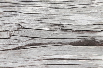 Old wood background. Old wood pattern background.