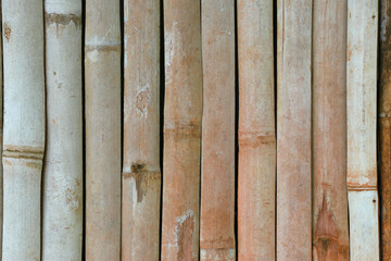Vertical bamboo background. Dry bamboo background.