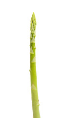 asparagus isolated