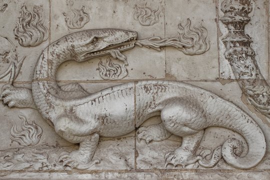 Salamandre Chateau de Blois