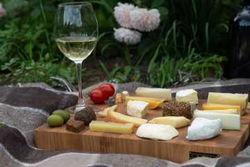 Various types of cheese and white dry wine on a rustic wooden cutting board on the grass. French tasting or holiday landscape.