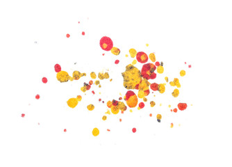 Colourful Splatter Paint Isolated on White Background