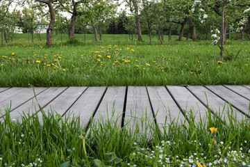 Empty wooden walkway in the green garden. Mock up space for garden tools.