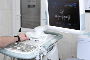Professional veterinary exams dog on ultrasound device