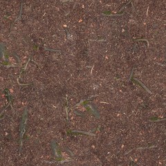 Forest soil with mini texture underfoot consisting of small stones and moss .Texture or background