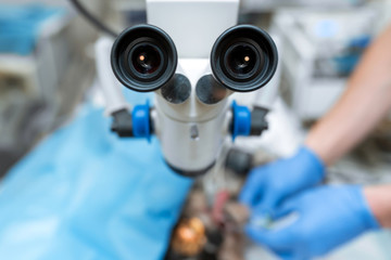 Vet ophthalmologist surgical microscope in operating room. and dog with injured eye on operating table, ready for operation