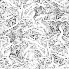 Microbes and various microorganisms under strong microscope magnification.Texture or background