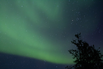 Fototapeta na wymiar Great Northern Lights in Yellowknife, Northwest Territories, Canada