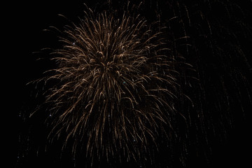 Fototapeta premium Festive fireworks in the dark sky