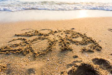 2019 hand write on sea beach new life new year